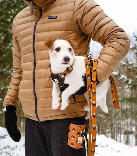 Woolly Wolf Dog Leash/Lead Strap 1.5m