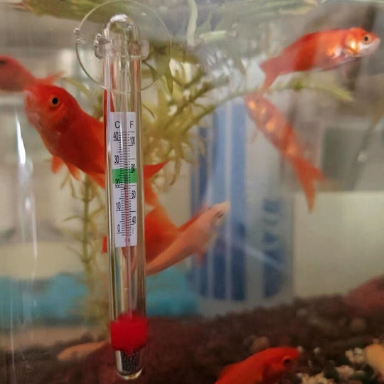 Aquarium Technical Equipment