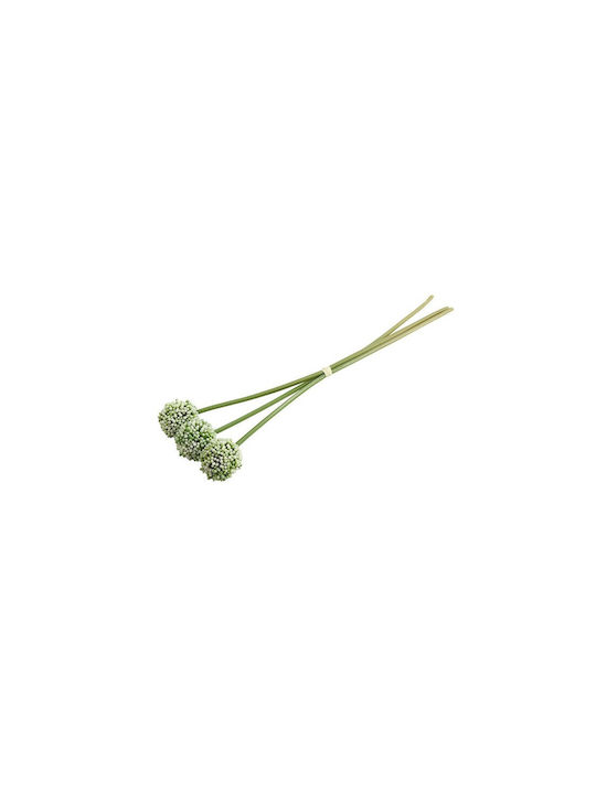 Allium Cream X3 55cm