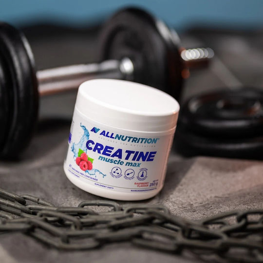AllNutrition Creatine Muscle Max Wassermelone 500gr