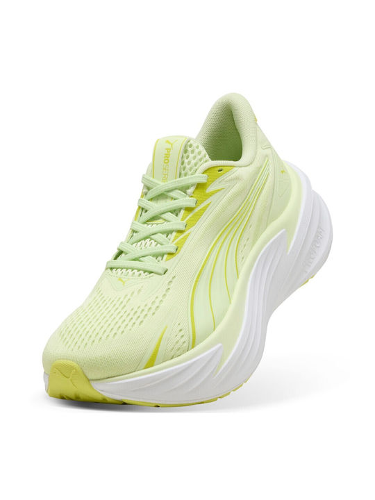 Maxima Pro Femei Pantofi sport Alergare Multicolor