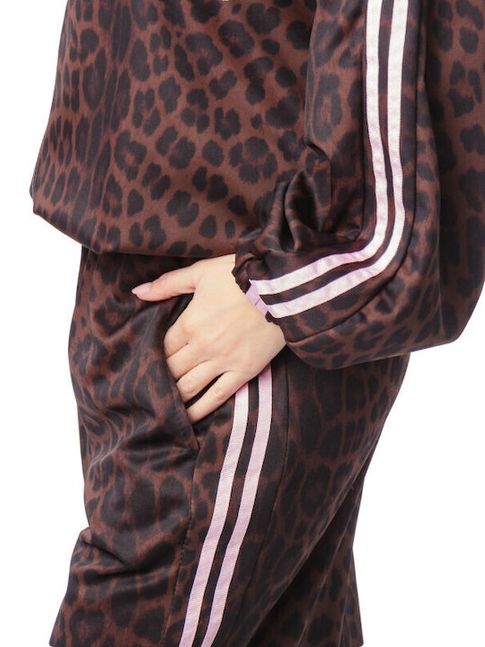 Set Palazzo Jacket Animal Print Stripes