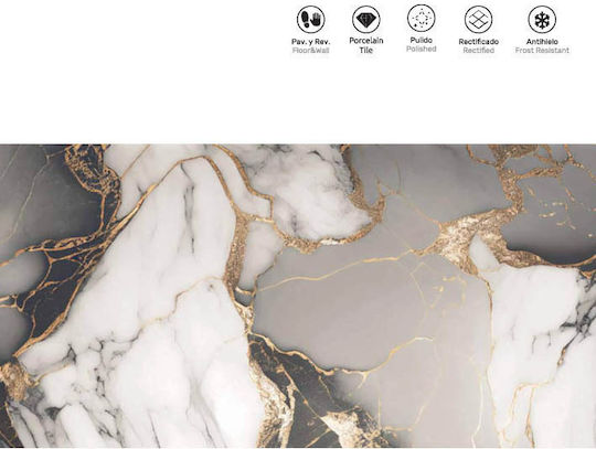 LV Granito Fliese Boden Innenbereich 120x60cm Gold