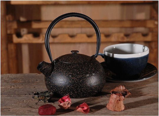 Patchy Teapot with Filter Cast Iron Hand Brown 850ml