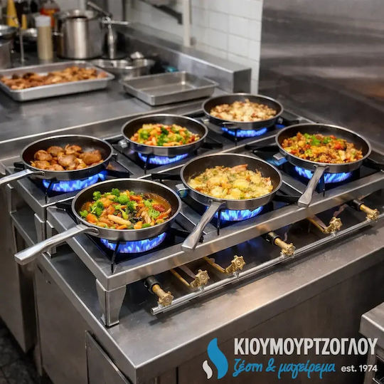 Thermogatz GX60 Lackierung Countertop Burner Flüssiggas with 6 Burners Inox