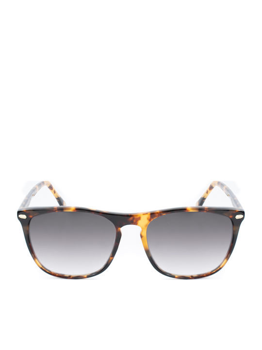 Belstaff Sunglasses Brown with Acetate Frame & Gray Lens Belstaff Sunglasses Brown with Acetate Frame & Gray Lens
