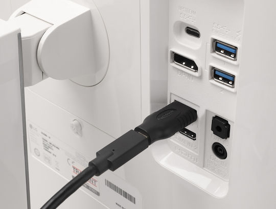 DeLock Конвертор HDMI Мъжки към USB-C Женски 1 Брой 61075