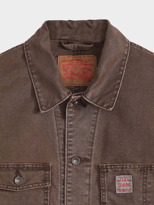 Μπουφάν Brown
