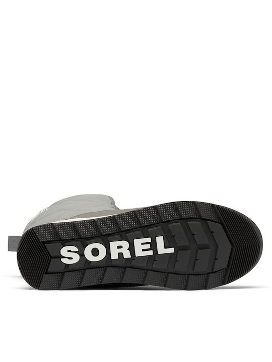 Sorel