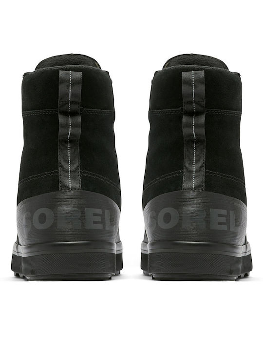Sorel