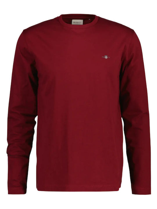 T-shirt Burgundy