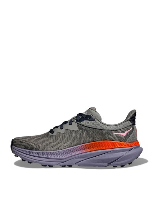 Sneakers Gray