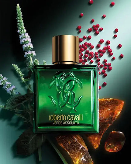 Roberto Cavalli Cavalli Uomo Eau de Parfum 100ml