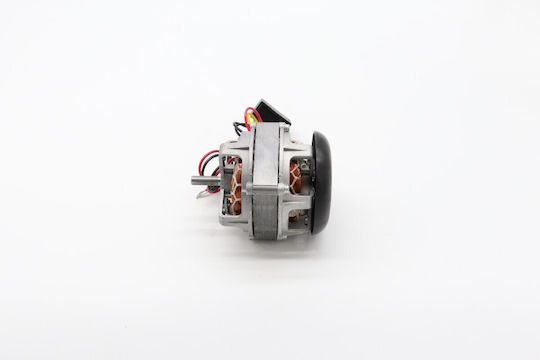 Maxima Motor