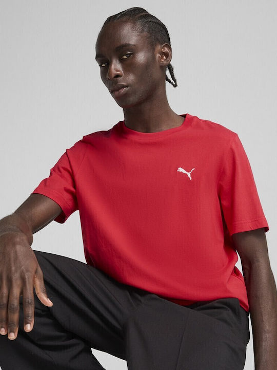 T-Shirt Rot