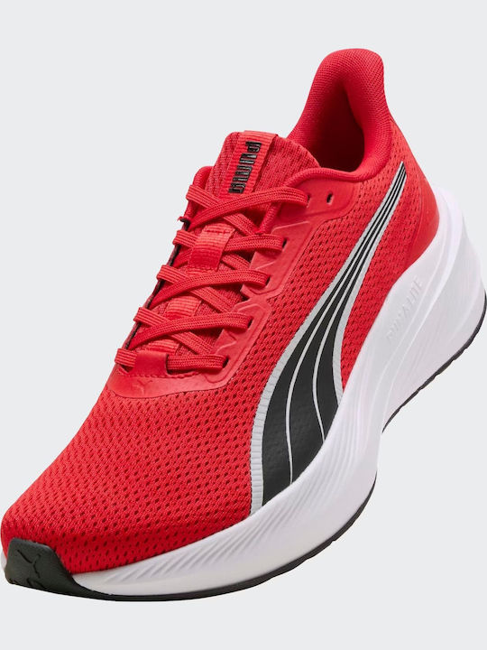 Sneakers Red