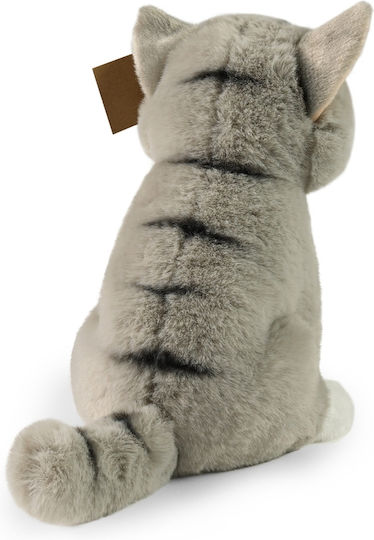 Rappa Rappa Plush Kitten 23 cm