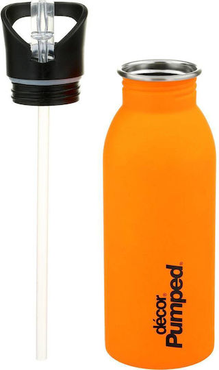 Kinder Trinkflasche Rostfreier Stahl mit Stroh Orange 500ml