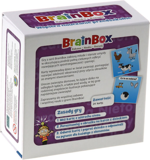 Rebel Educational Game