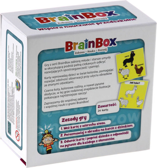 Rebel Educational Game Knowledge