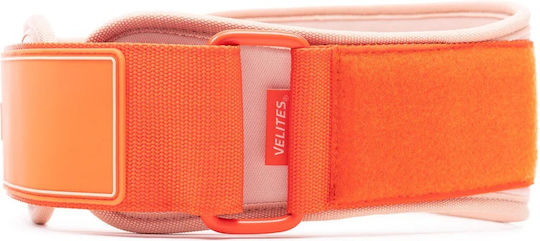 Strength Belt Velites Orange White