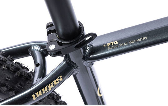 Pegas 29" Gri Mountain Bike cu Viteze