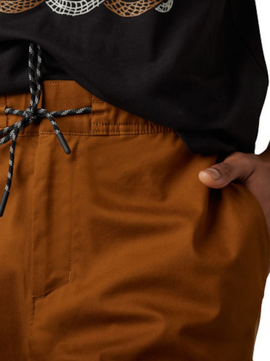 2.0 Herrenshorts Braun