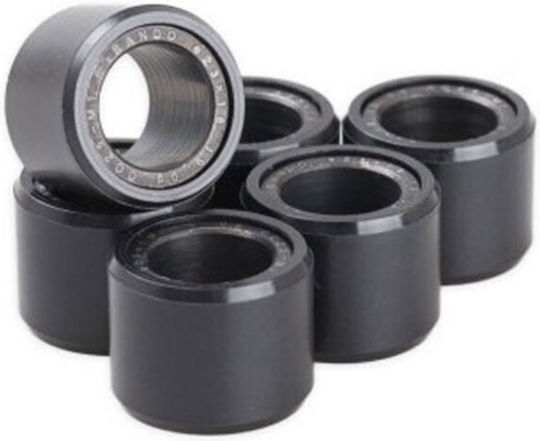 Bando Fliehkraft Gewicht für Sym Citycom 300 / GTS 250 / GTS 300