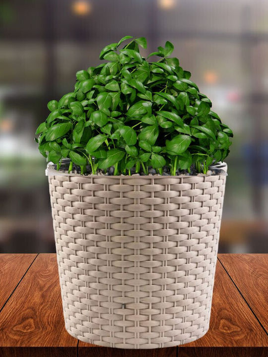 Prosperplast Flower Ghiveci Rattan Maro 31x31εκ.