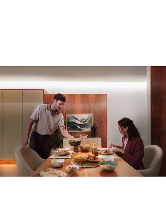 Philips Hue Flux LED Panel