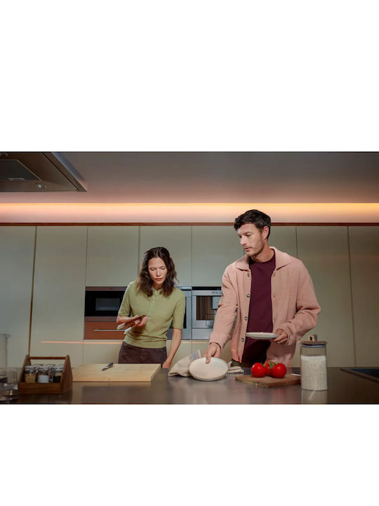 Philips Hue Flux LED Panel