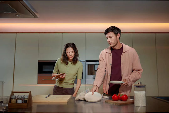 Philips Hue Flux LED Panel