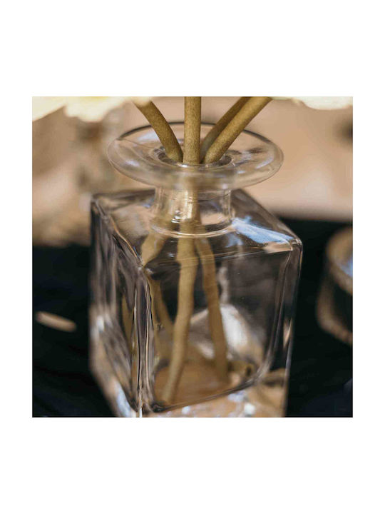 Beauty Home Dekorative Vase Glas Hector Transparente 6xHöhe 10,5cm