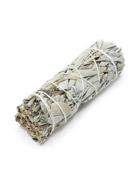 Smudge Kit Gift Box Palo Santo Φασκόμηλο Κοχύλι & Cobra Ενεργειακό Καθαρισμό
