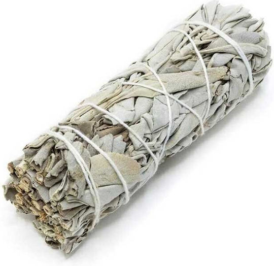 Smudge Kit Geschenkbox Palo Santo Φασκόμηλο Κοχύλι & Cobra Elektrische Gitarren Reinigungsset