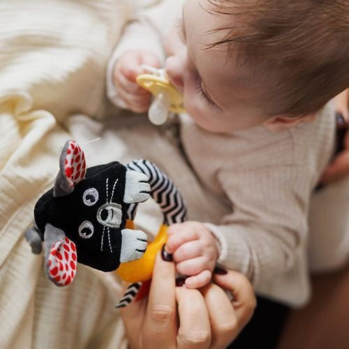 Babyono Baby Activity Toy Mouse with Sounds for Newborns