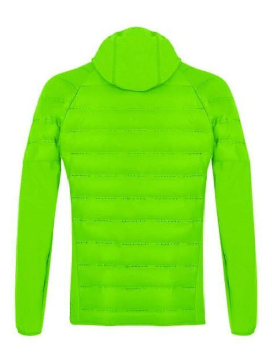 Salewa