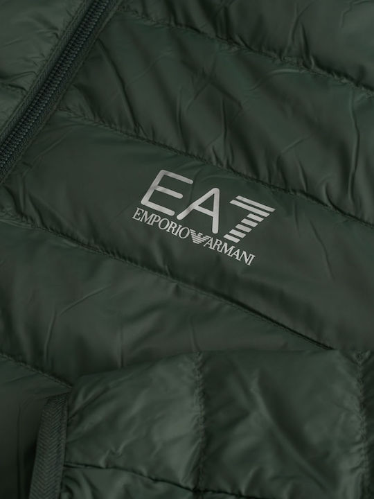 Jacket Green
