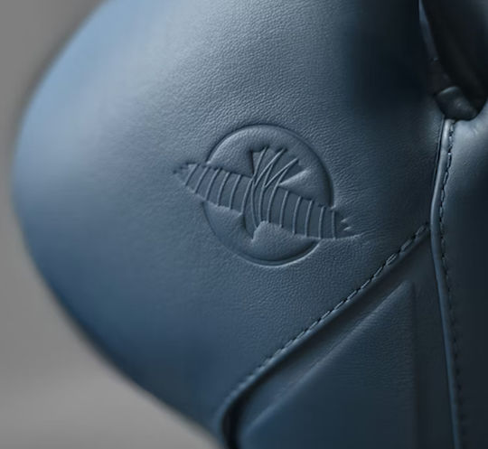 Hayabusa Boxhandschuhe Leder für Kampf Blau