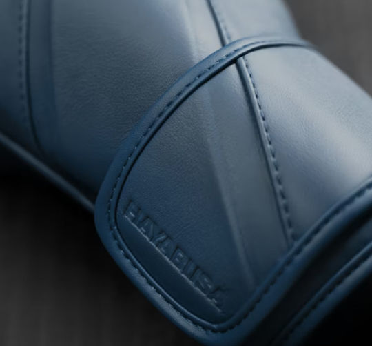 Hayabusa Boxhandschuhe Leder für Kampf Blau
