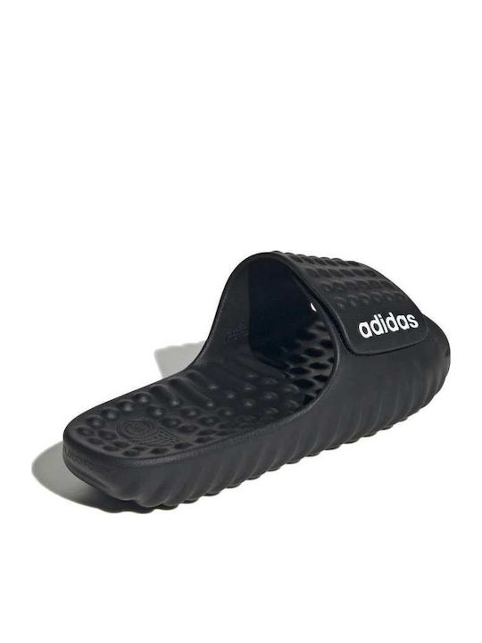 Adissage Men's Slides Black