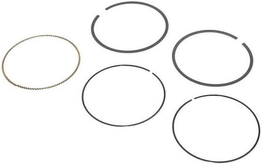 Ελατηρια Σετ Εμβολου Γνησιο Briggs & Stratton 21b8-21r5-21r6-21r7-21r8