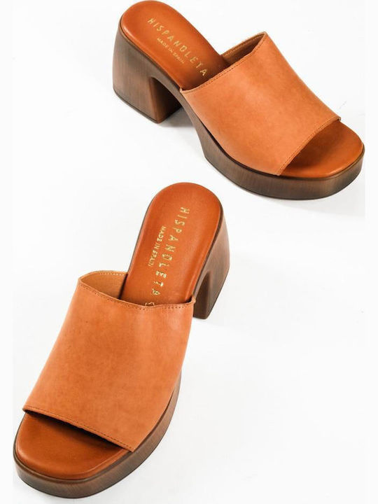 Mules with Chunky Heel in Tabac Brown Color