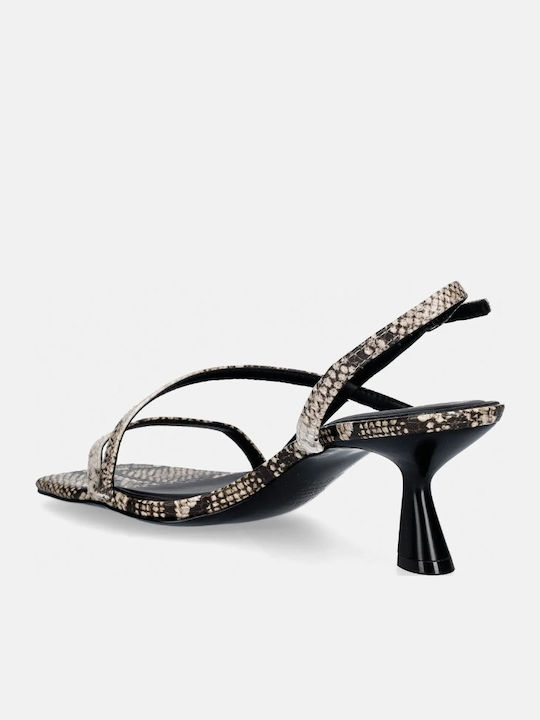 Aldo