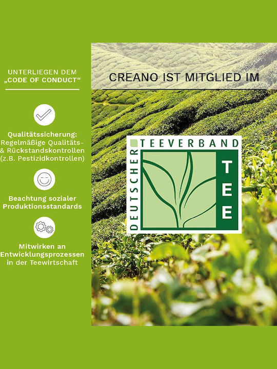 Creano Teekanne Glas Mehrfarbig 500ml