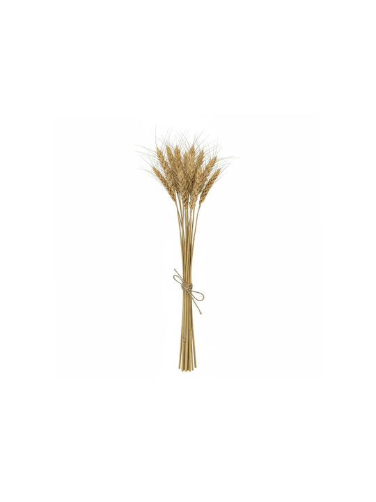 Dried Beige Grass Plant 30cm in Box 10 Pieces GloboStar