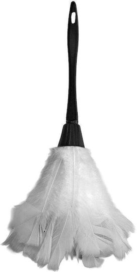 Carnival Wings 1pcs