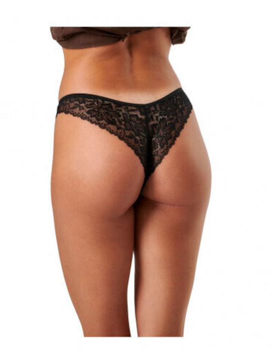 Women's Brazil 2Pack Black, Burgundy