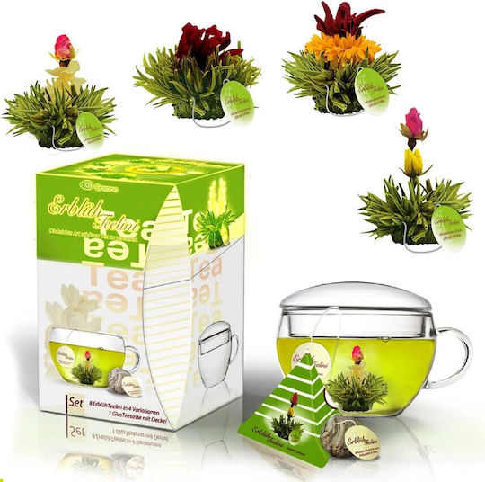 Creano Tasse Tee Glas Mehrfarbig 200ml