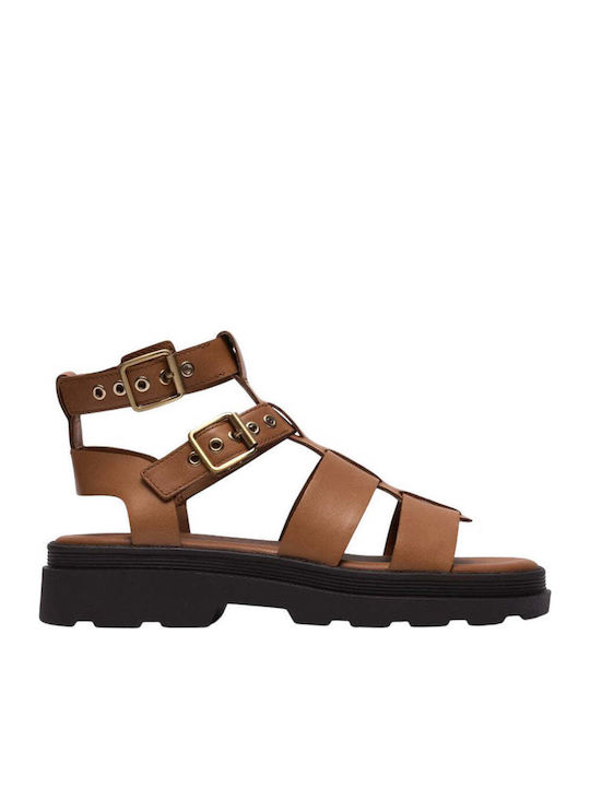 Clarks